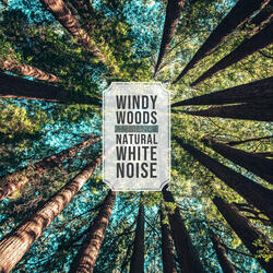 Soft Wind Blowing Through the Trees
