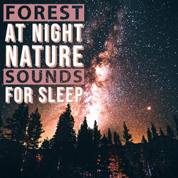 Bird Chirps, Crickets, and Forest Trees