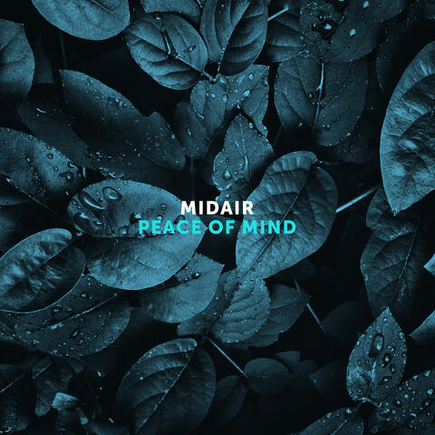 Peace Of Mind
