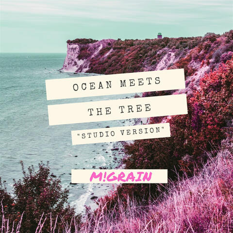 Ocean Meets the Tree (Studio Version)