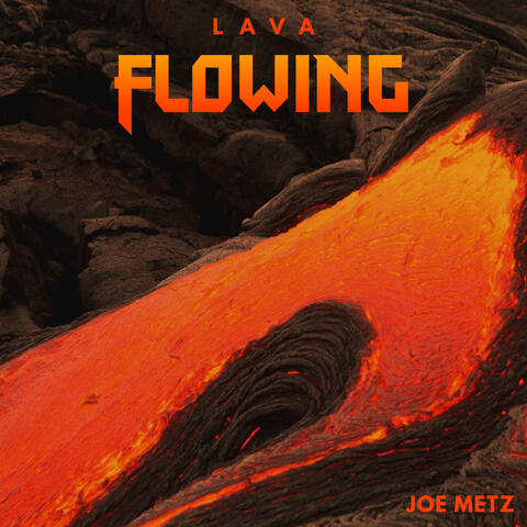 Joe Metz
