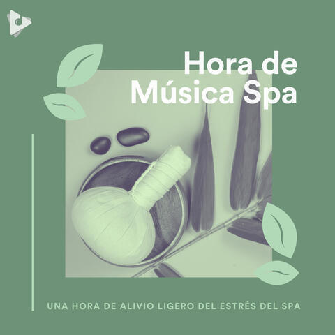 1 Hora de Alivio Ligero del Estrés del Spa