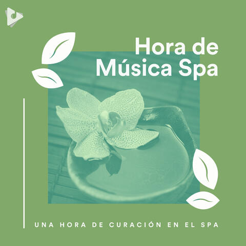 1 Hora de Curación en el Spa