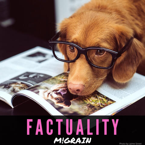 Factuality