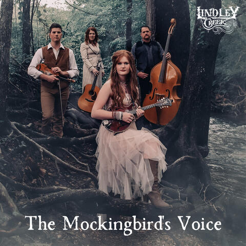 The Mockingbird's Voice