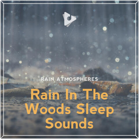 Rain In The Woods Sleep Sounds