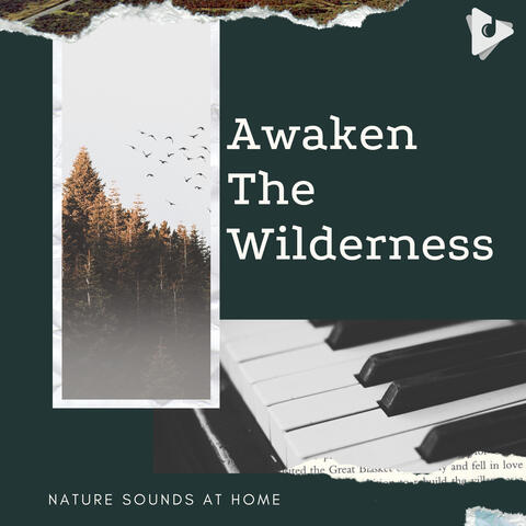 Awaken The Wilderness