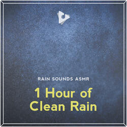 Rainy White Noise with Birds Chirping for Cats Ears
