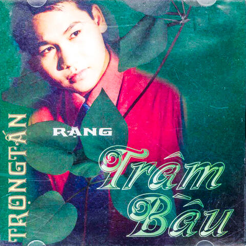 Rặng trâm bầu