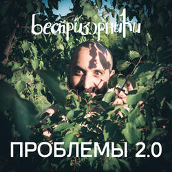Проблемы 2.0