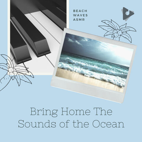 Bring Home The Sounds of the Ocean