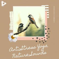 Soft Sounds of the Ambient Forest