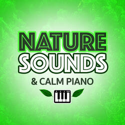 Baby Sleeps To Nature Sounds (Soft Piano Background Music)