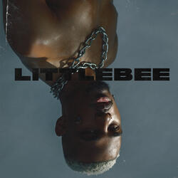 Little Bee