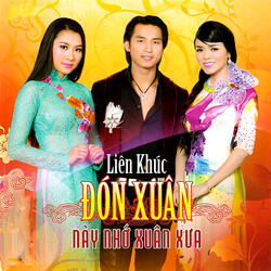 Liên khúc Ngày xuân thăm nhau