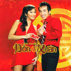 Xuân này con không về