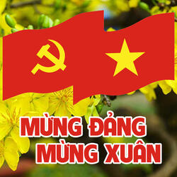Như hoa hướng dương