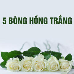 Cánh cò trong câu hát mẹ ru