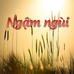 Đà Lạt hoàng hôn