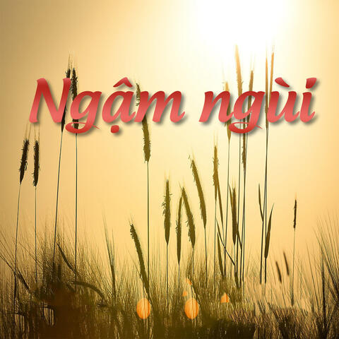Ngậm Ngùi