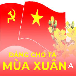 Như Hoa Hướng dương