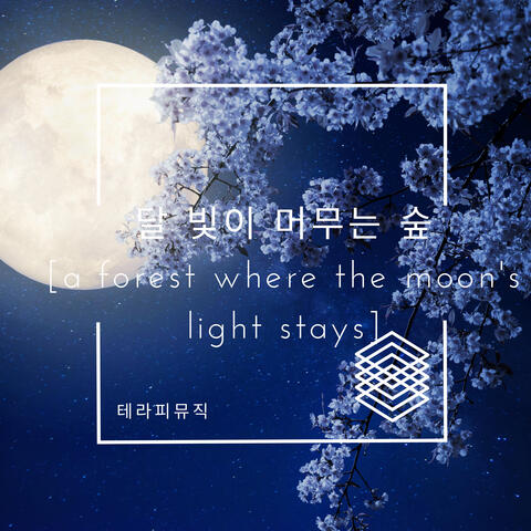 달 빛이 머무는 숲 A Forest Where the Moon's Light Stays