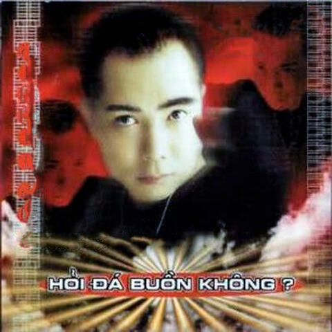 Hỏi đá buồn không - Instrumental (Tình Music Platinum Karaoke 09)