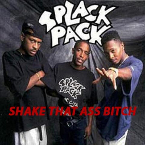 Shake That Ass Bitch