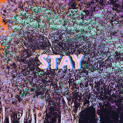Stay