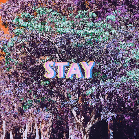 Stay