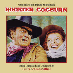 Hawk And Rooster