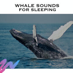 Whale Sound Effects