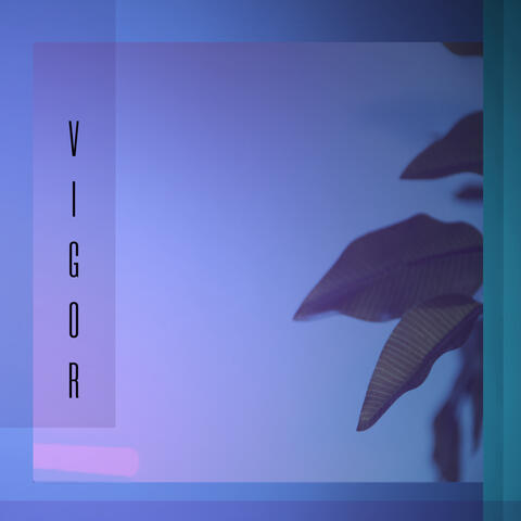 Vigor