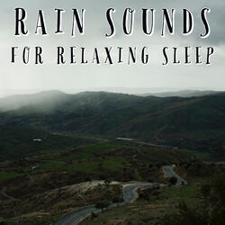Relaxing Forest Rain