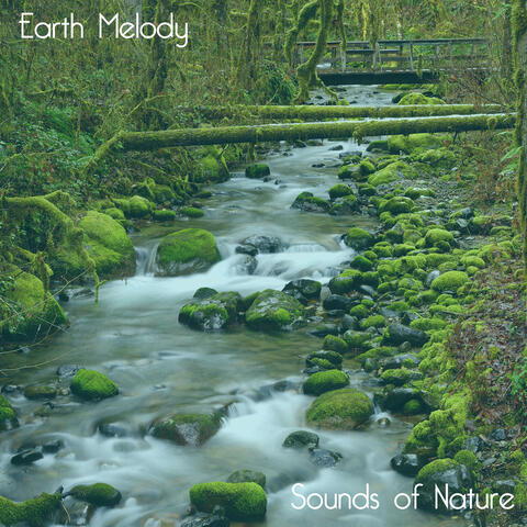 Sounds of Nature