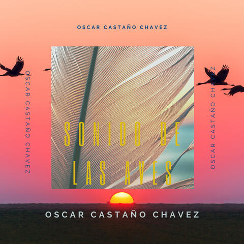 Sonido de las Aves