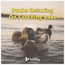 Duck Sounds for Kids