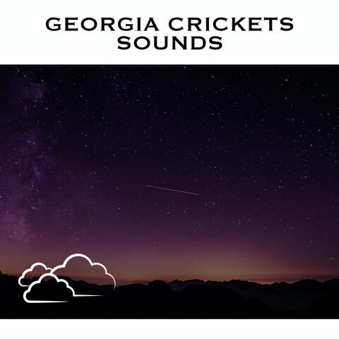 Georgia Crickets Sounds