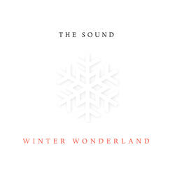 Winter Wonderland