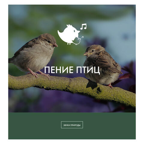 пение птиц
