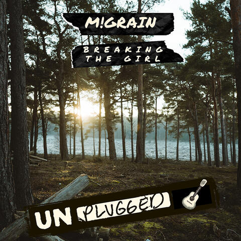 Breaking the Girl (Unplugged Version)