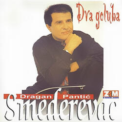 Lepa zeno ne znam ti ni ime