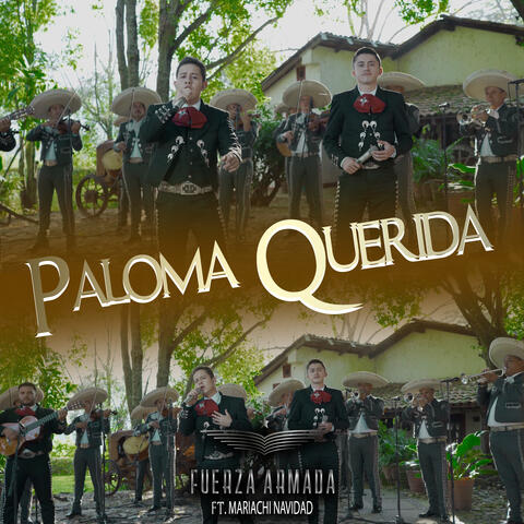 Paloma Querida
