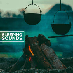 Sleeping Nature Music