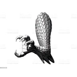 Dragon Claw Freestyle