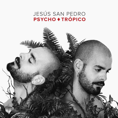 PSYCHOTrópico