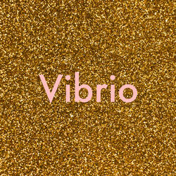Vibrio