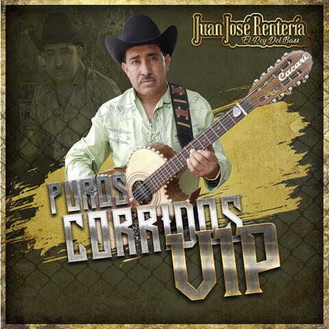 Puros Corridos VIP