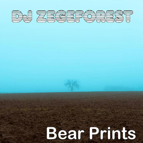 Bear Prints
