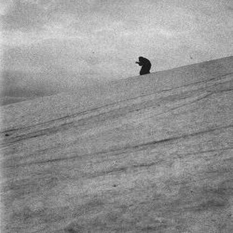 Paysage d'hiver